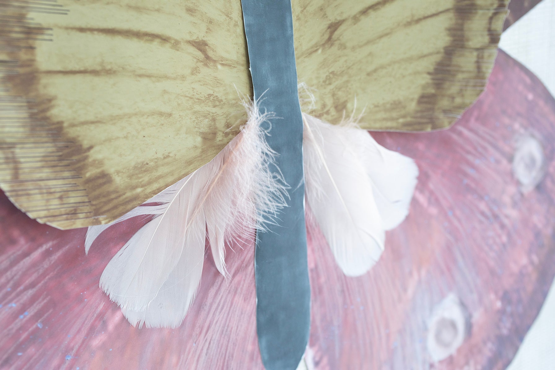 1 Dimensional Butterfly: Pink III