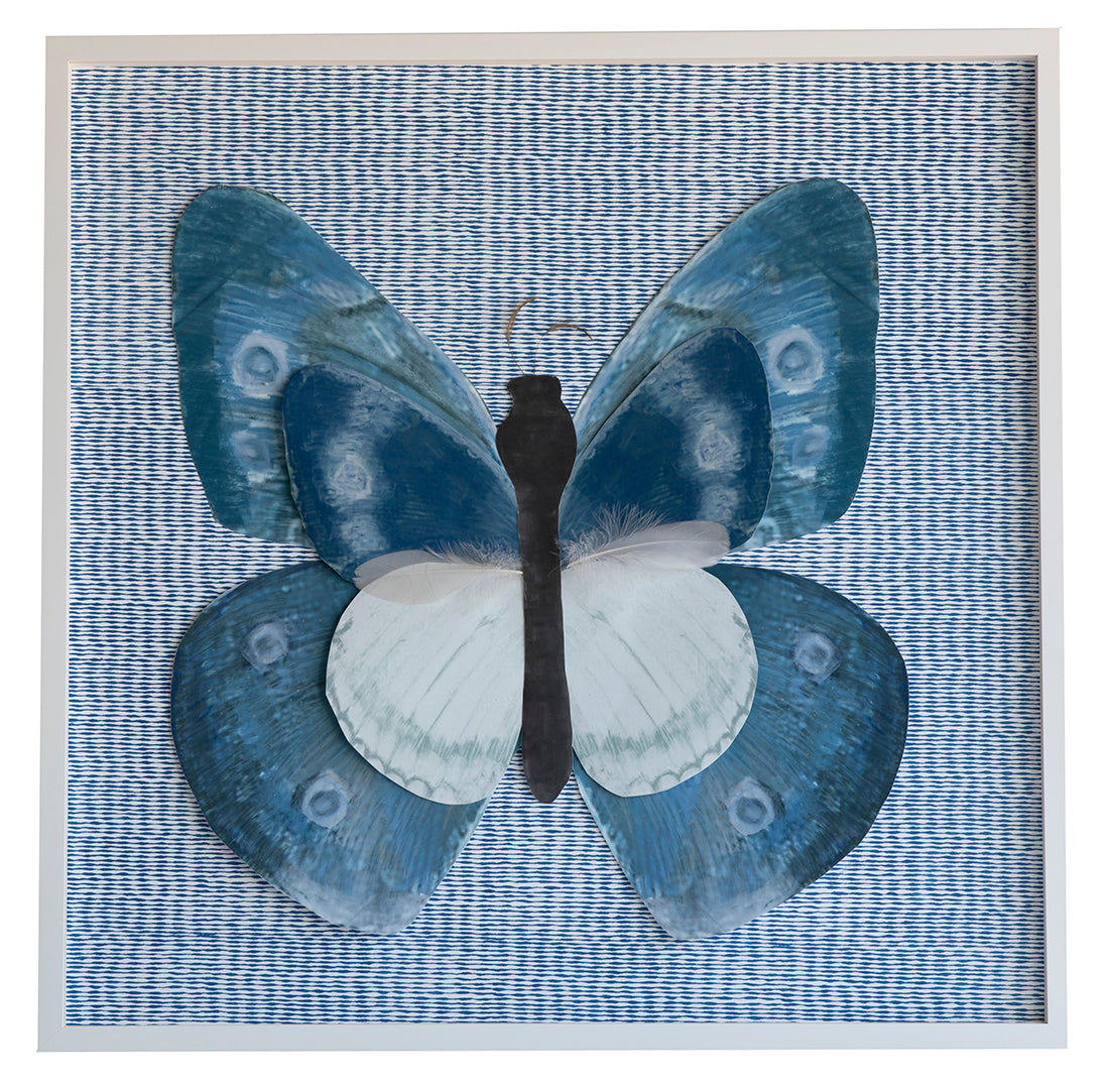1 Dimensional Butterfly: Blue