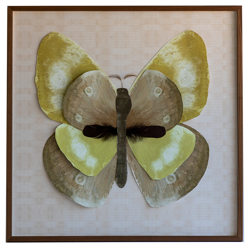1 Dimensional Butterfly: Tan and Yellow
