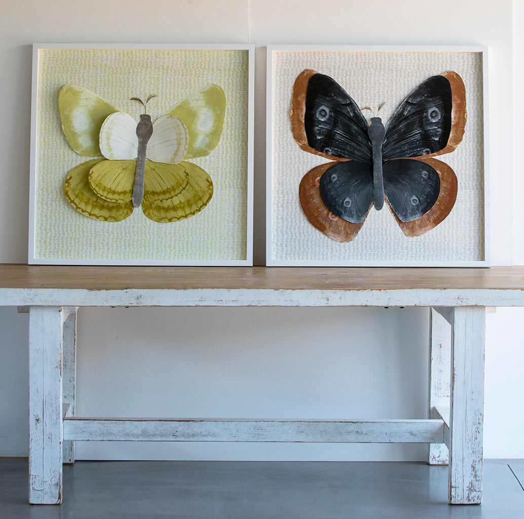 Dimensional Butterfly: Brown