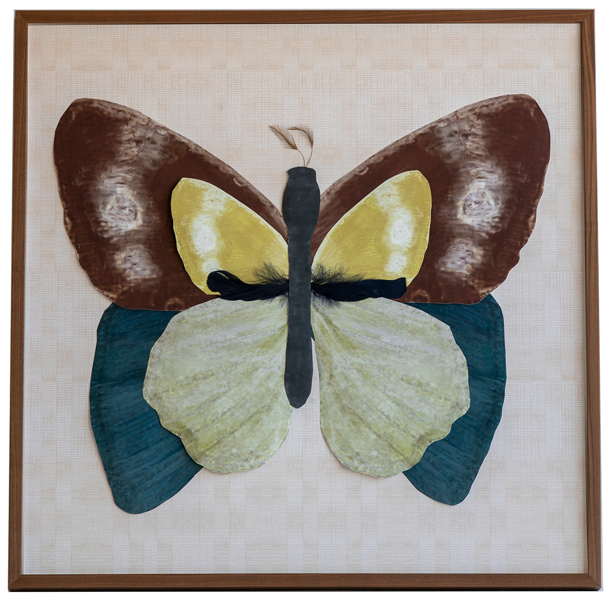 1 Dimensional Butterfly: Brown