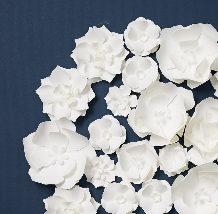 Flower Circle on blue