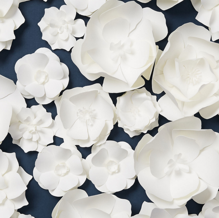 Flower Circle on blue