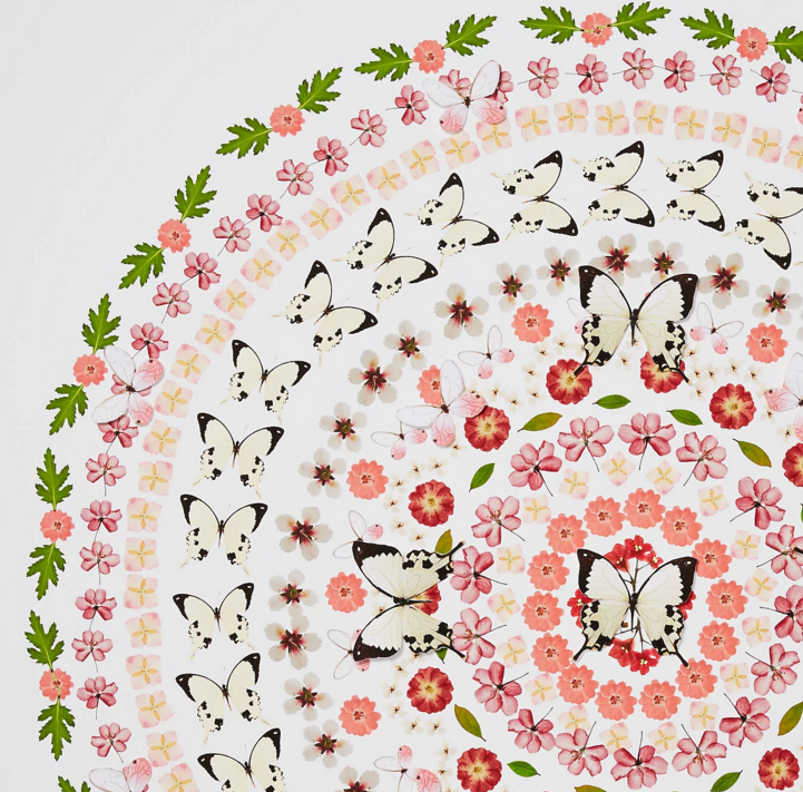 Flower and Butterfly Circle, pink