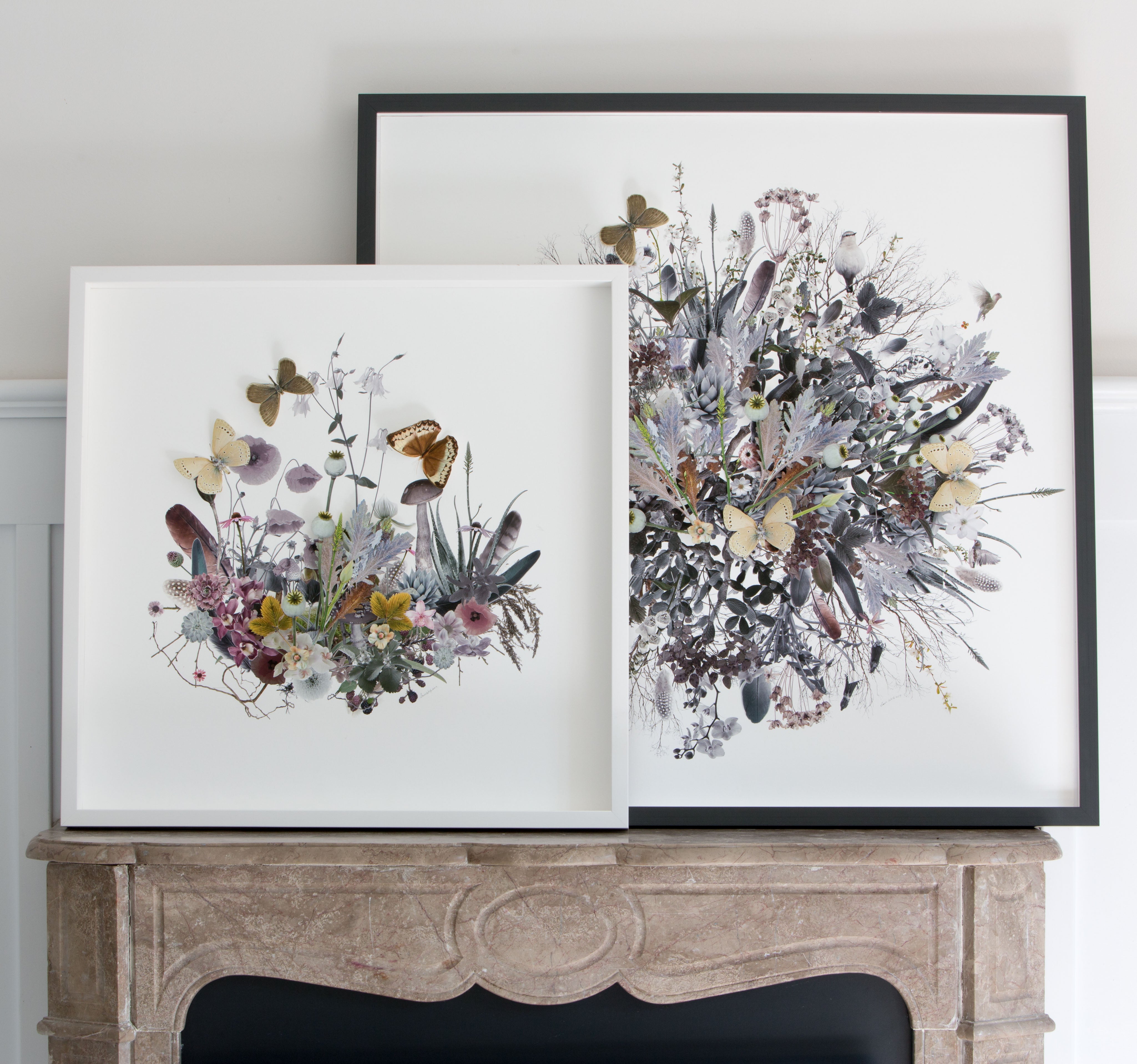 Plant Montage: Spring