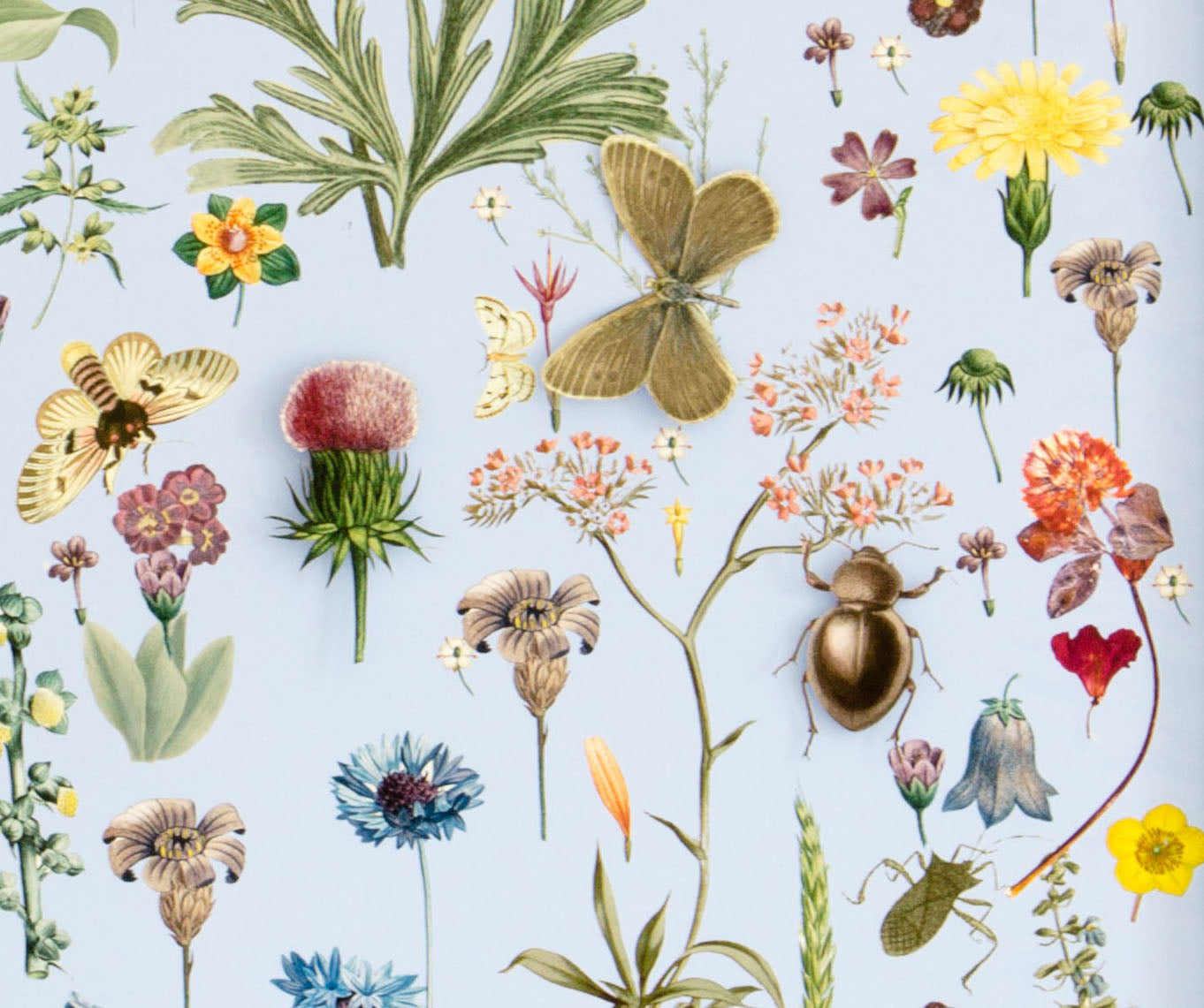 Dimensional Flower Print Collage: Robin Egg Blue