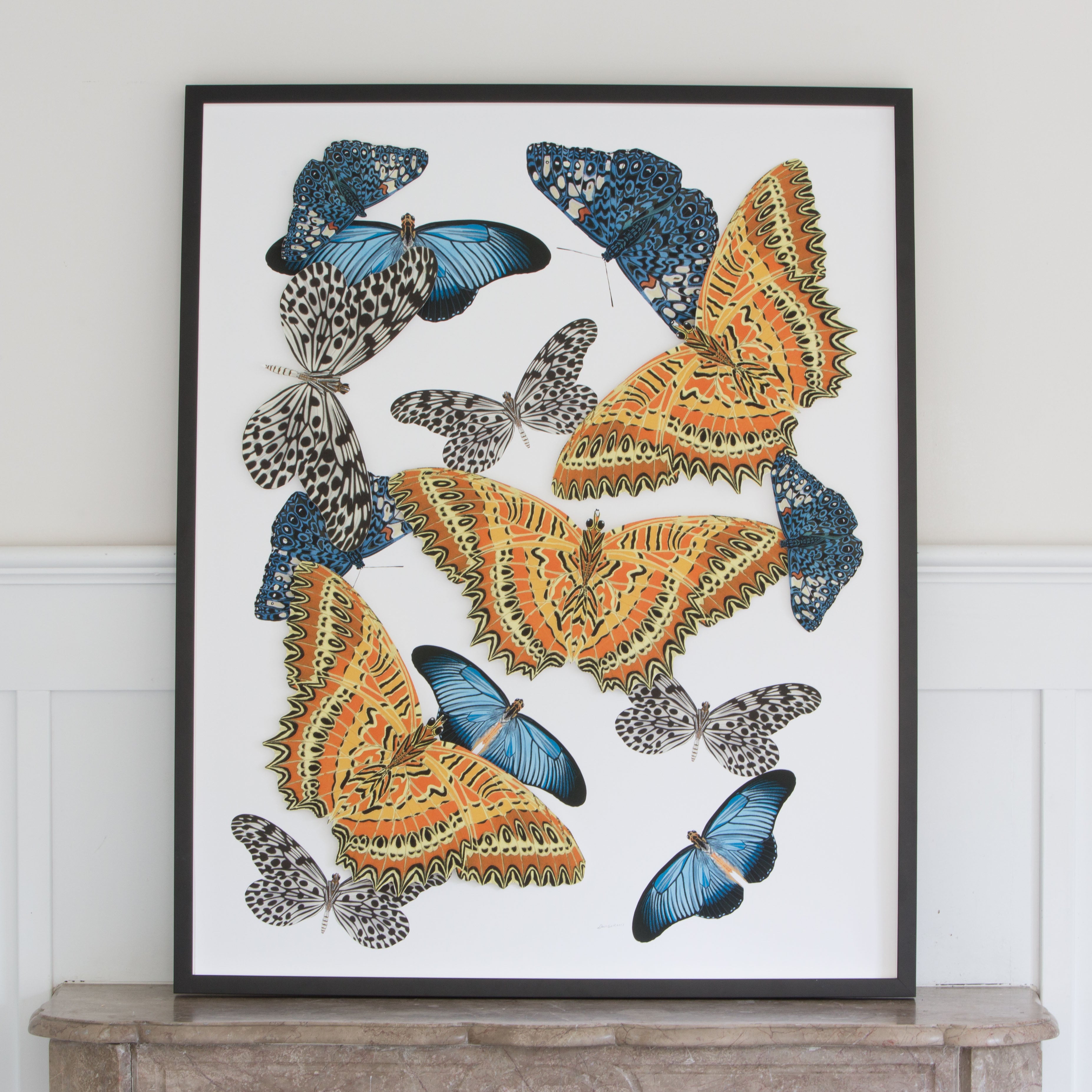 Large Butterfly and Collage #2