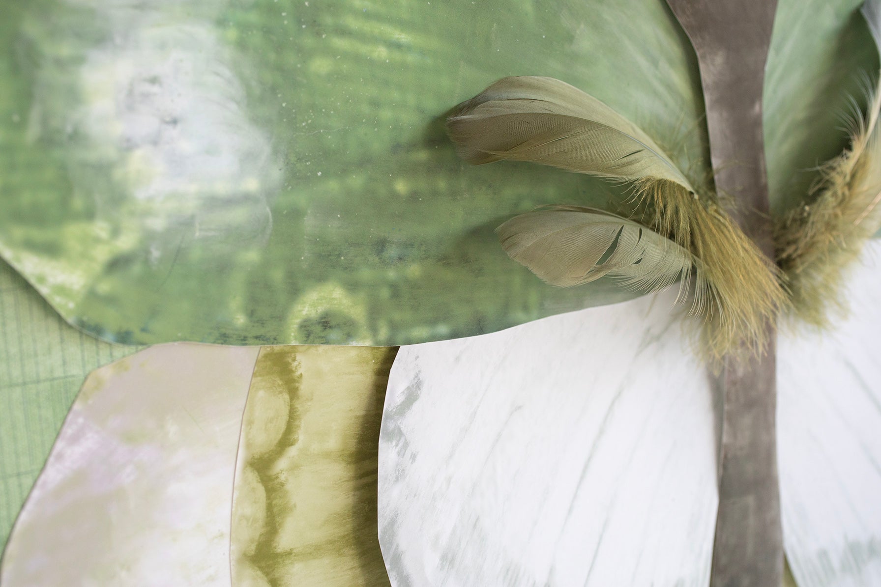 Dimensional Butterfly: Green