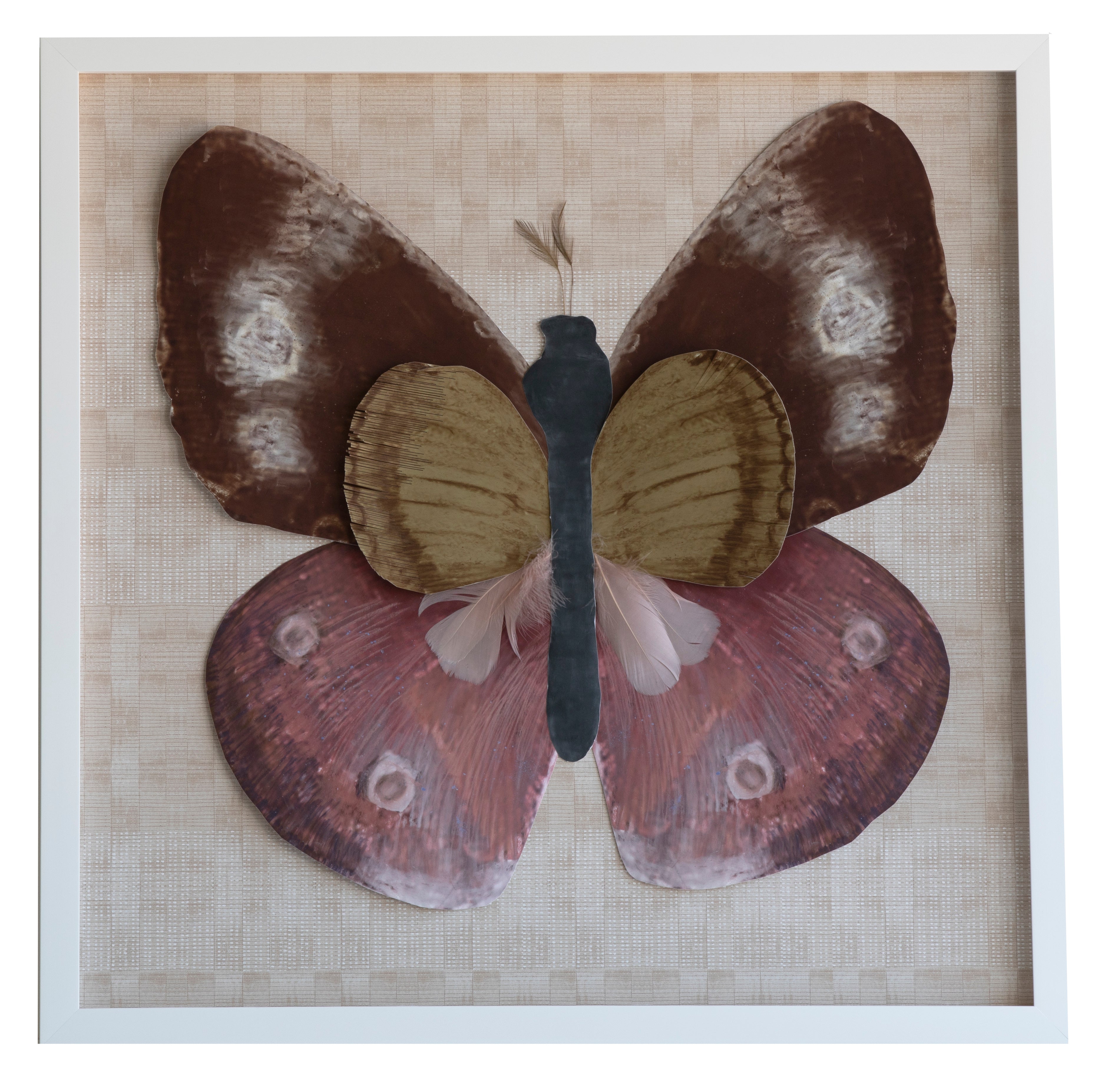 1 Dimensional Butterfly: Pink III