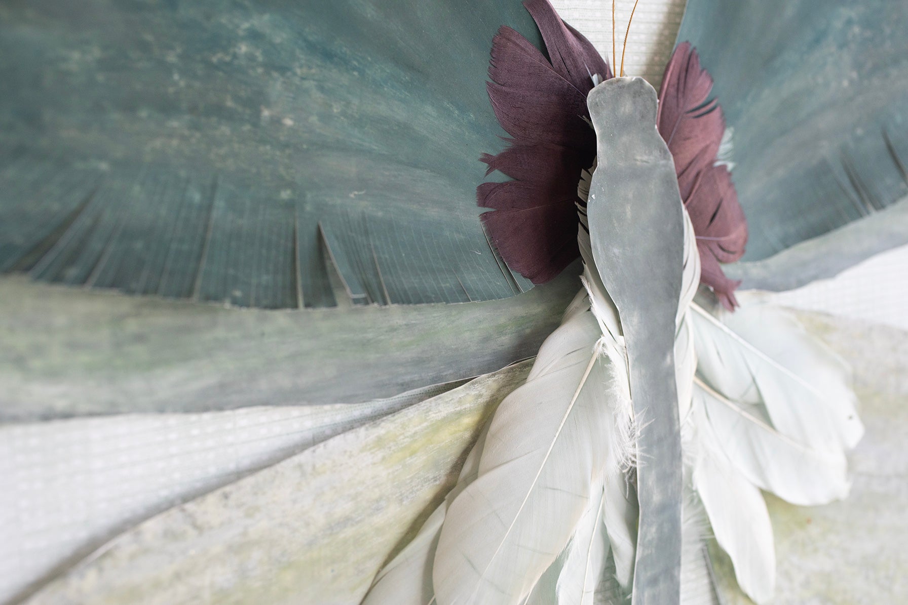 Dimensional Butterfly: Sage Green