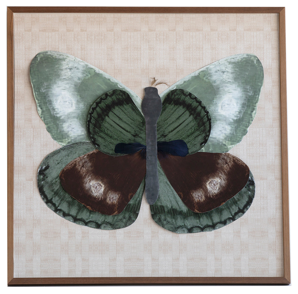 1 Dimensional Butterfly: Brown and Green