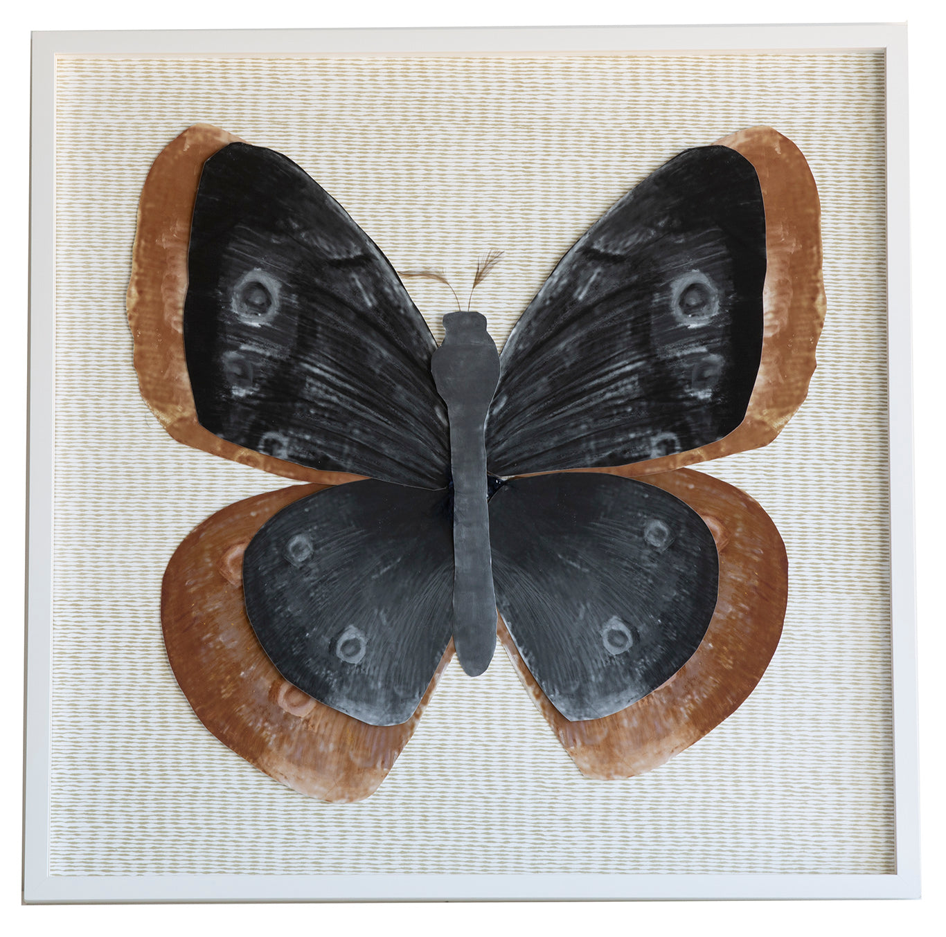 Dimensional Butterfly: Brown