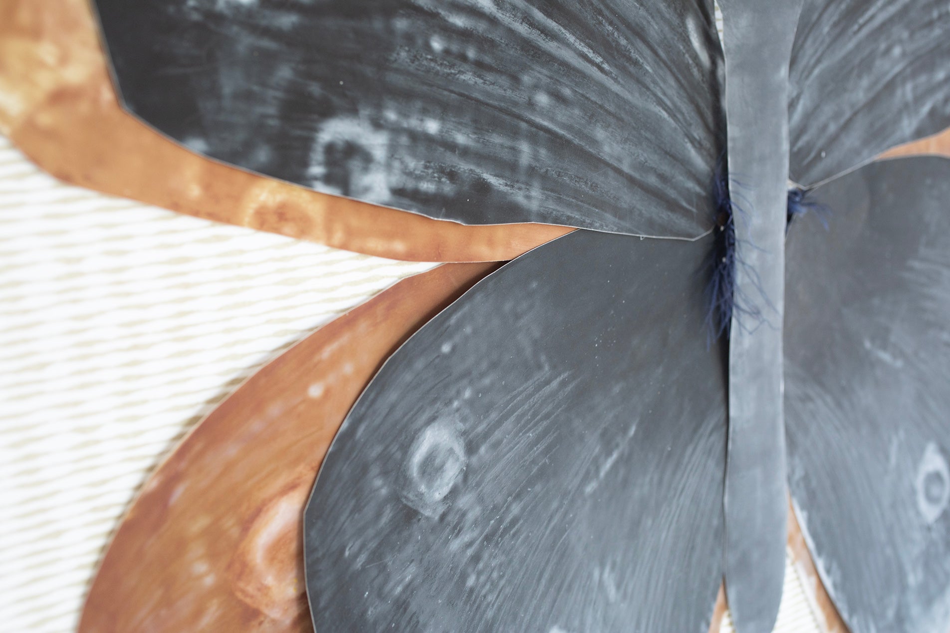 Dimensional Butterfly: Brown