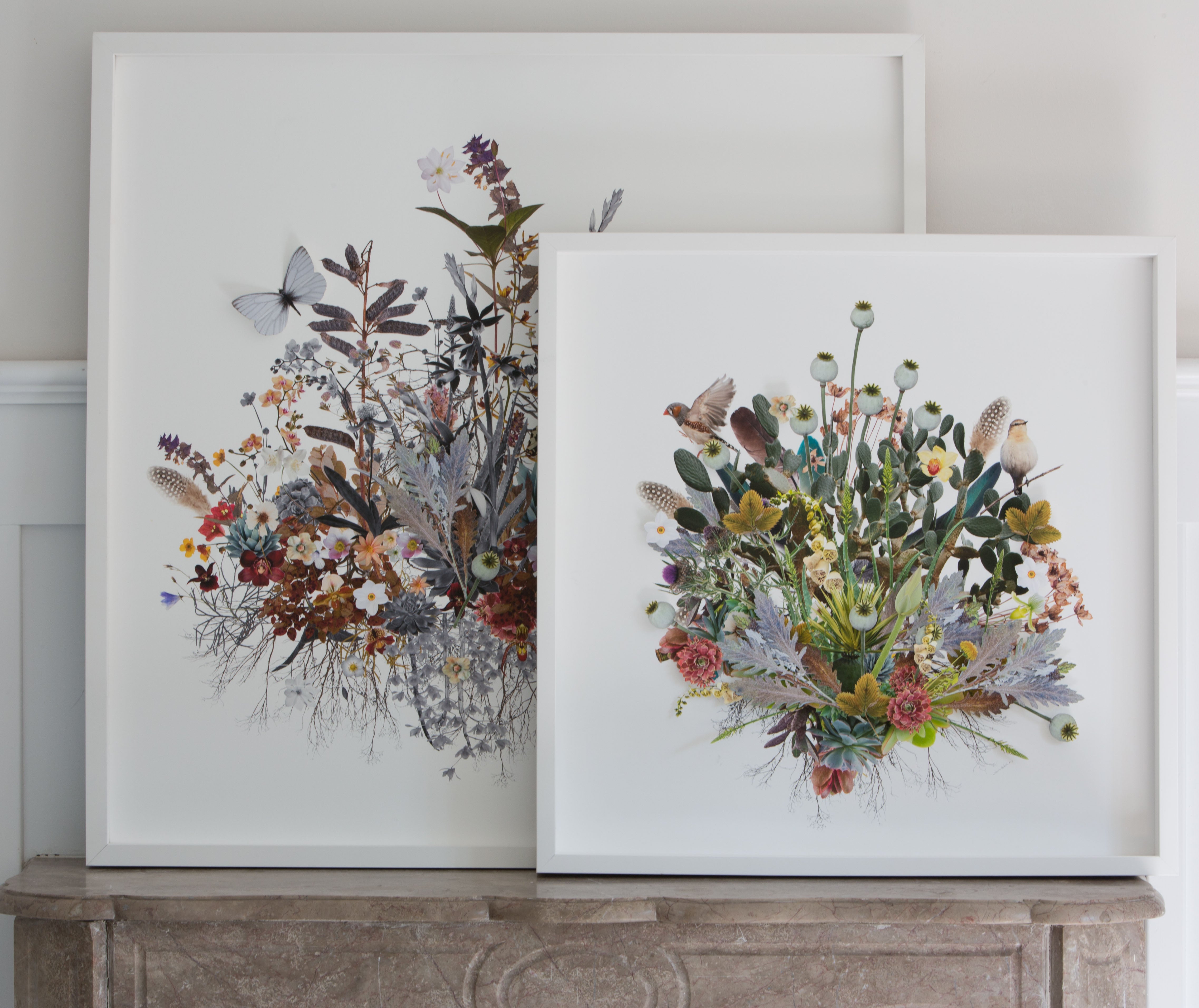 Plant Montage: Bright